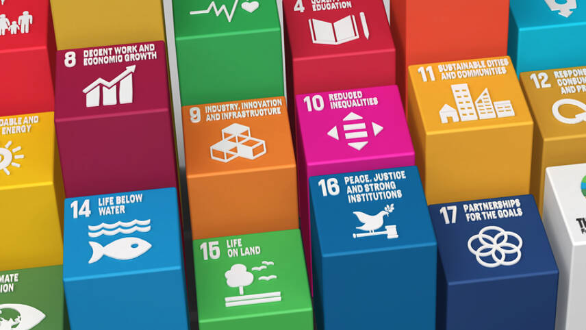 Are the SDGs having any meaningful impact on business practices?