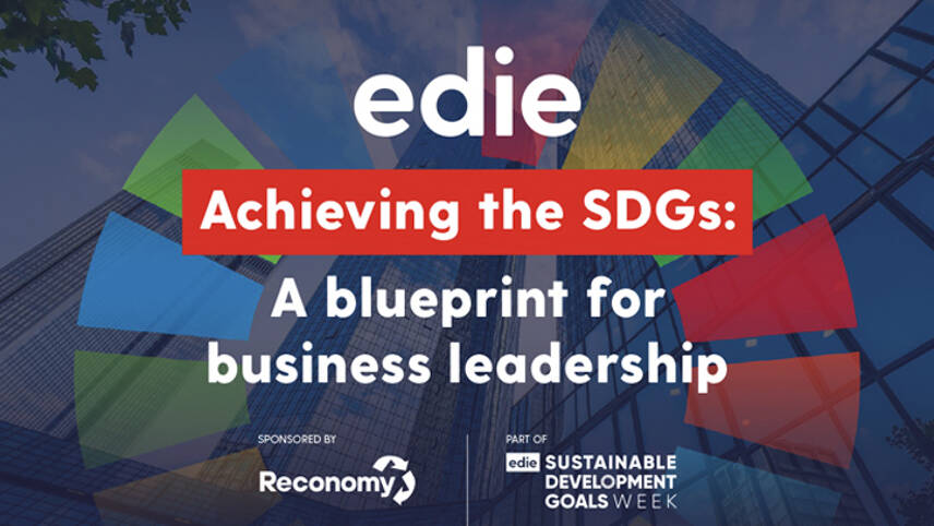 Achieving the SDGs: A Blueprint for Business Leadership