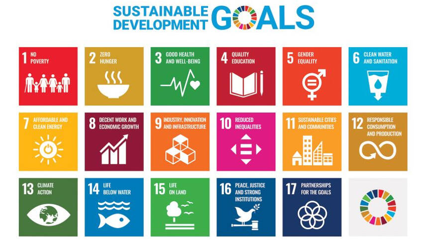 Accounting bodies urge UK Government to deliver on Sustainable Development Goals