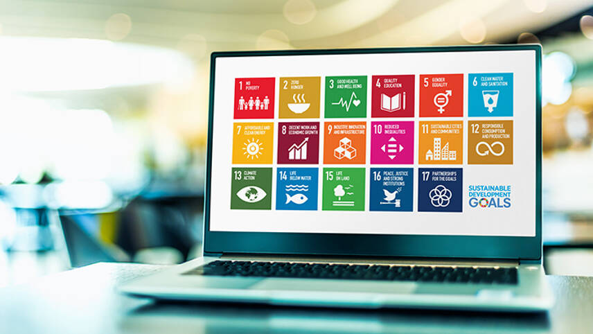 Do businesses still care about the Sustainable Development Goals?