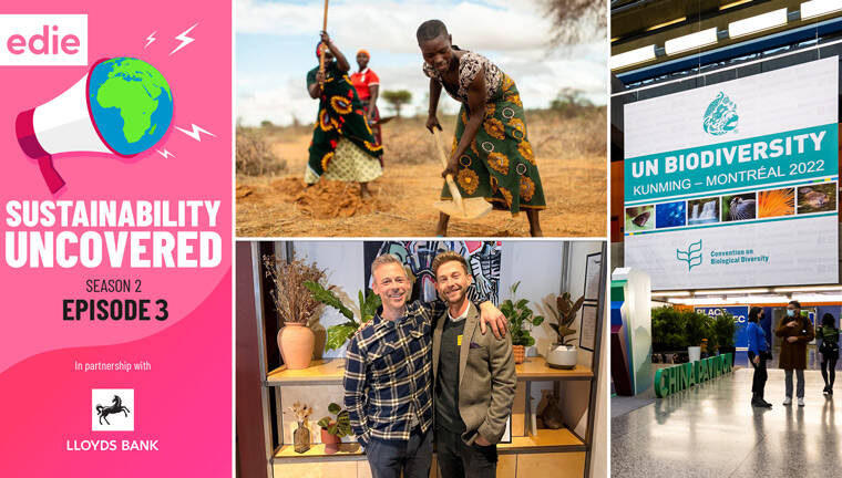 Sustainability Uncovered Podcast episode 3: Biodiversity breakthroughs, regreening Africa and Patagonia’s giveaway