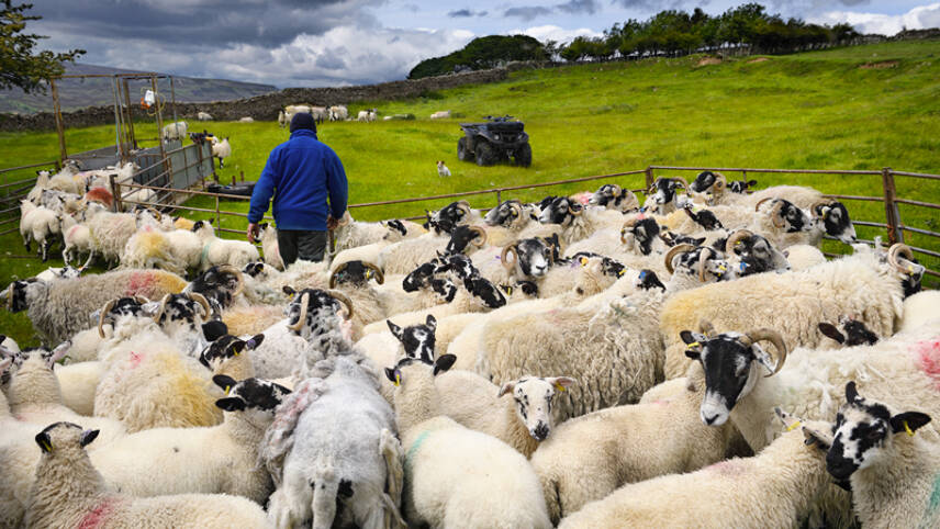 Report: Skyrocketing costs hampering UK farmers’ ability to take climate action