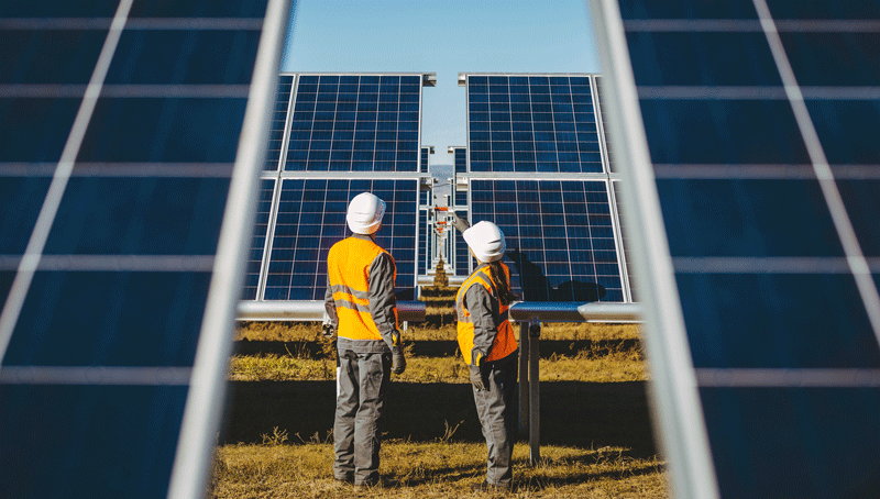Renewable energy workers are in high demand, global survey reveals