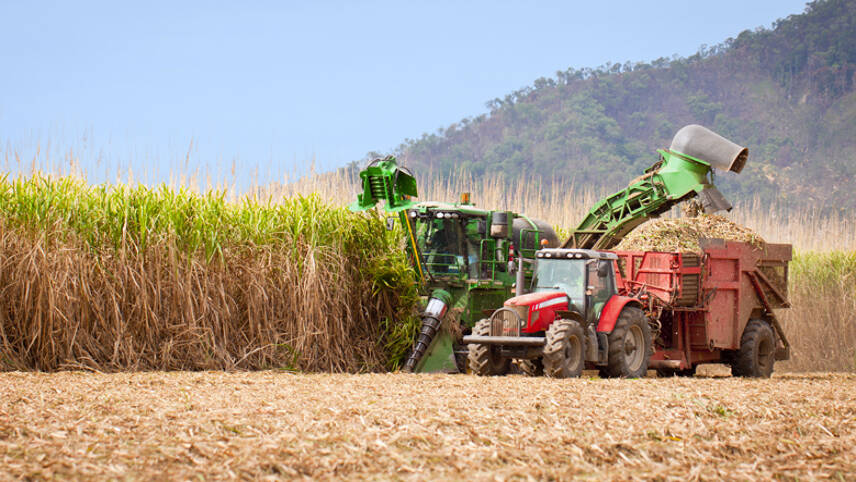 Green Alliance: UK’s biofuel consumption making global food crisis worse