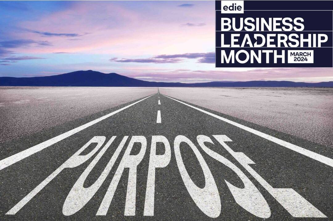 Beyond buzzwords: Unpacking the significance of “purpose” in corporate strategies