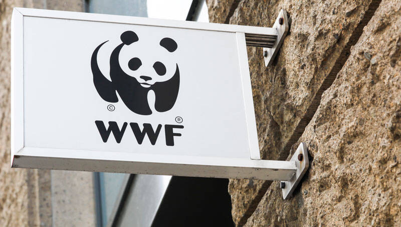 Amid SBTi controversies, WWF says carbon offsets ‘cannot be a substitute’ for decarbonisation