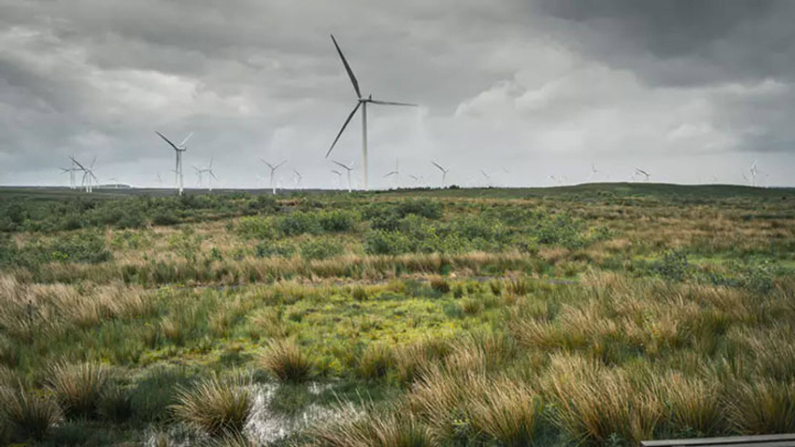 Scottish Government unveils landmark onshore wind sector deal