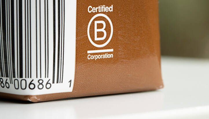 ‘A vital juncture’: Fresh consultation on strengthening B Corp standards launches