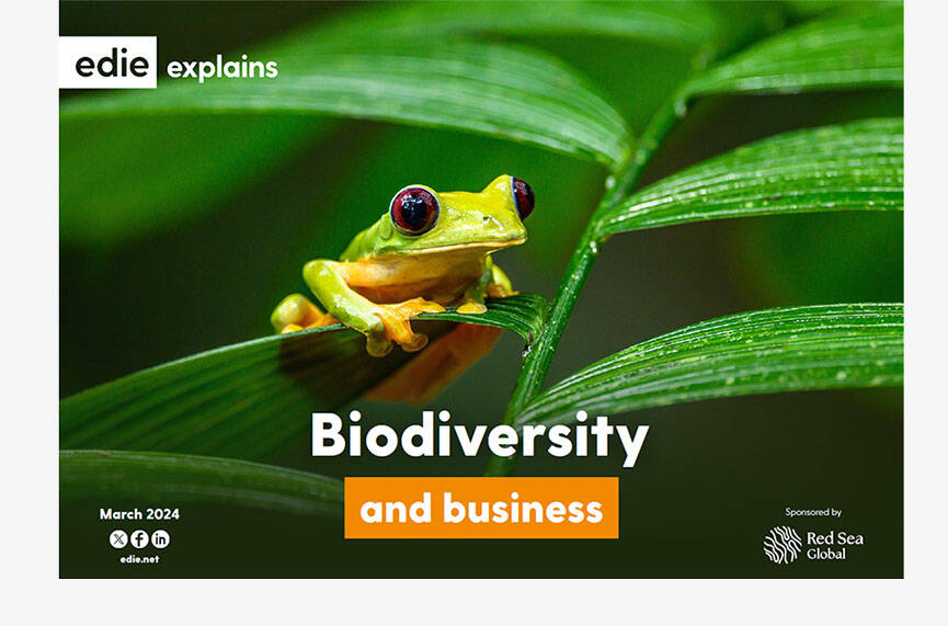 edie Explains: Biodiversity and Business