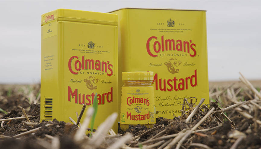 Unilever launches UK regenerative agriculture programme for mustard and mint farmers