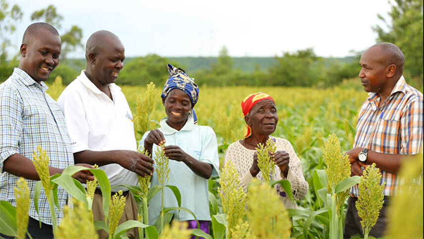 Diageo plans nature and climate innovation trials with African smallholder farms