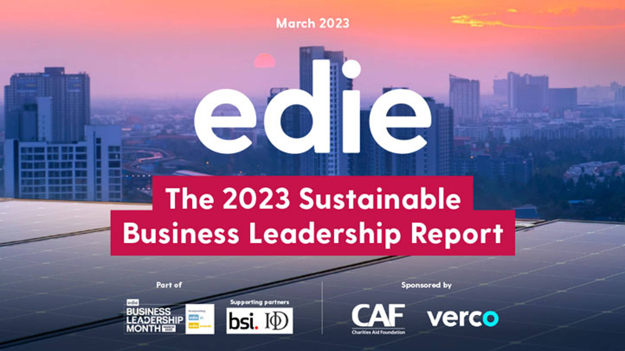 The 2023 Sustainable Business Leadership Report
