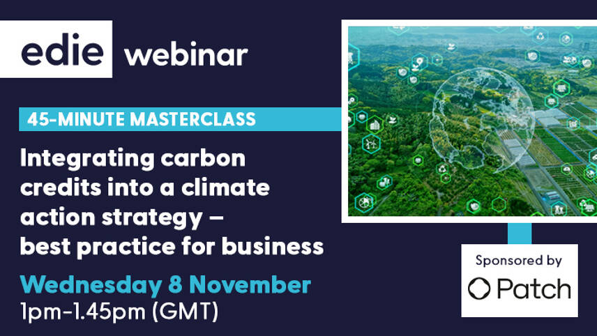 45-minute masterclass: Integrating carbon credits into a climate action strategy – best practice for business