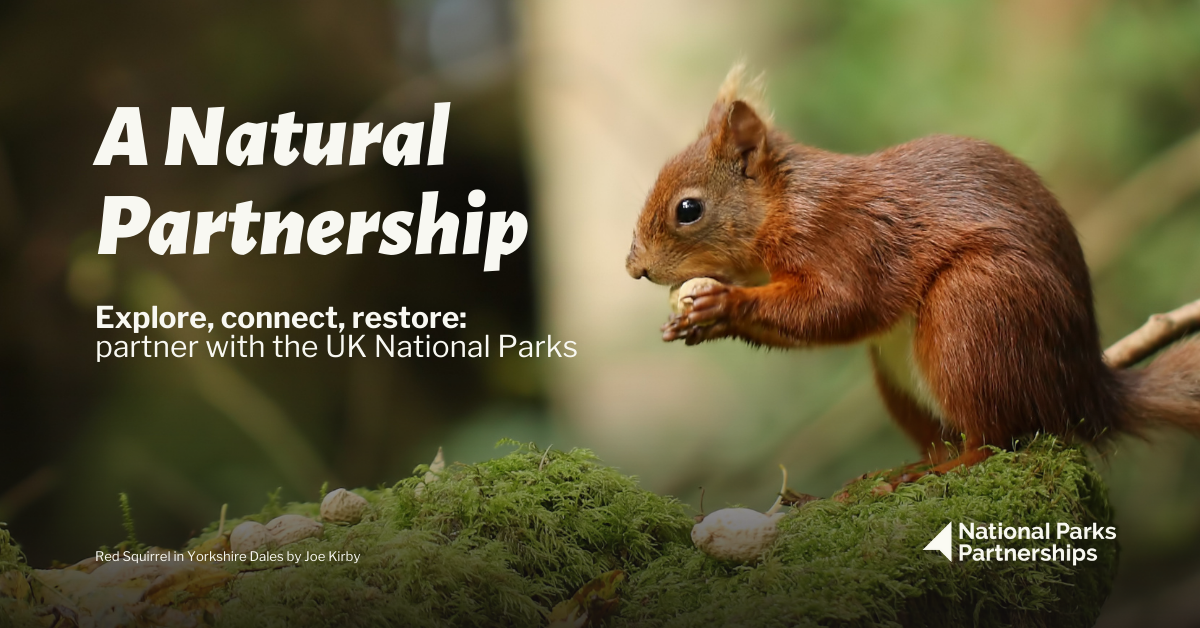 UK National Parks launch new ‘A Natural Partnership’ campaign to help fund urgent nature restoration