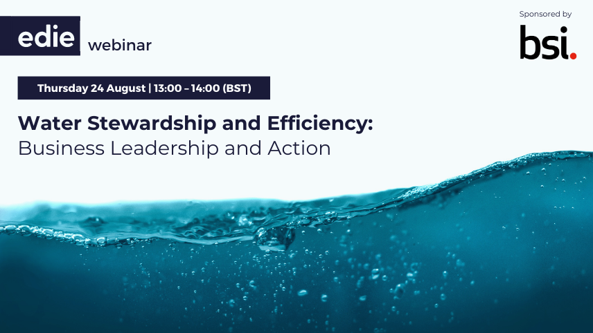 Water Stewardship and Efficiency: Business Leadership and Action