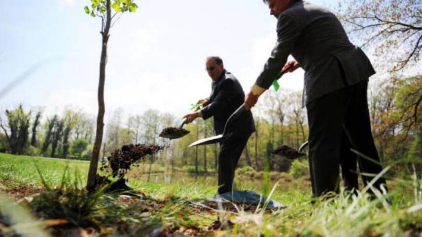 Yorkshire Water plants first of a million trees to help prevent floods
