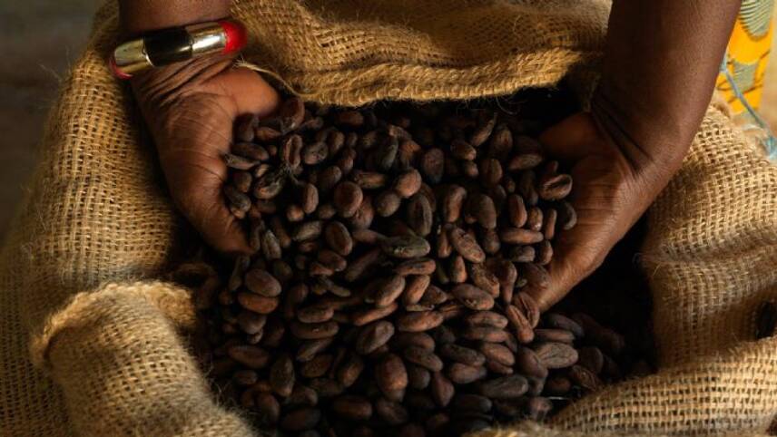 Waitrose pledges to source 100% Fairtrade cocoa by the end of 2019