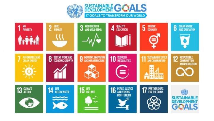 Corporate reporting bodies launch framework championing SDG alignment