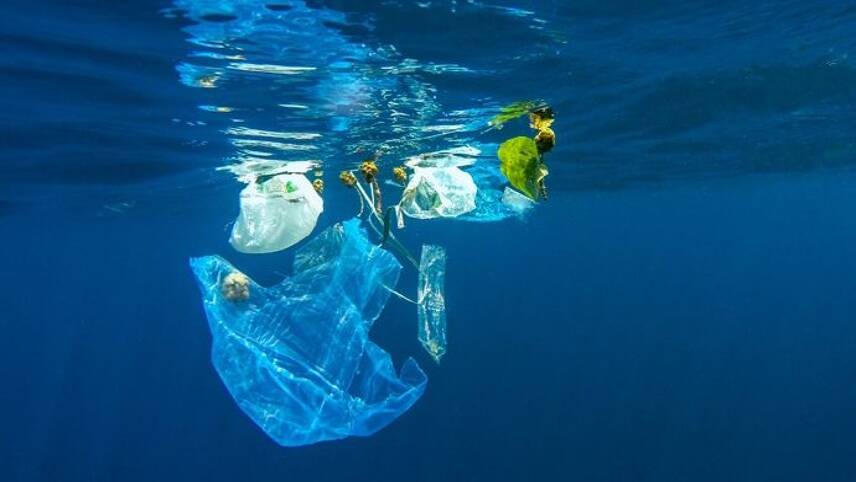 European parliament votes to ban single-use plastics