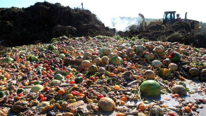 Business giants sign new government-led pledge to halve food waste by 2030