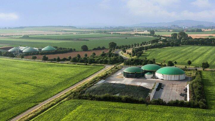 Bioenergy a ‘no regrets solution’ to reaching net-zero, report says