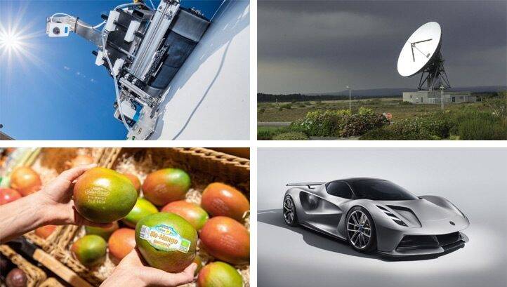 Plastic-free fruit labels and electric ‘hypercars’: The best green innovations of the week
