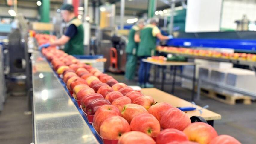 Manufacturing giants slash food waste by 30%