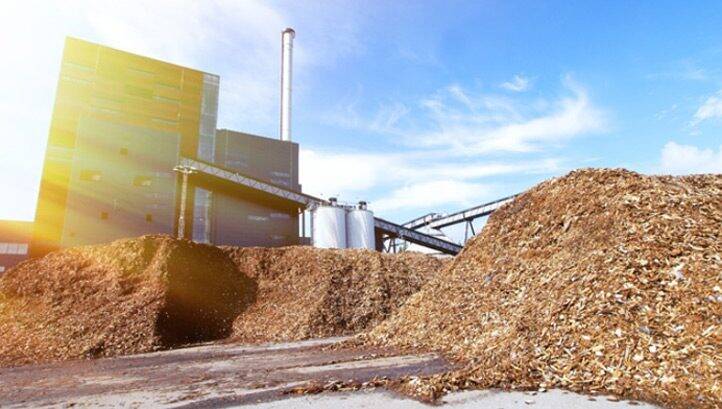 Report: UK Government’s net-zero plans ‘over-reliant’ on biomass and carbon capture