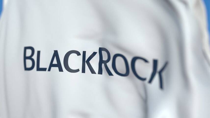BlackRock punishes 53 high-emissions companies over climate inaction, puts 191 more on watch
