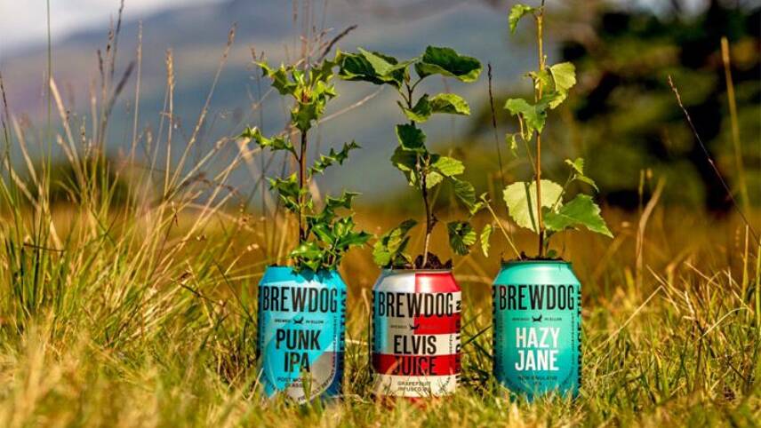 Brewdog achieves ‘carbon negativity’, offsetting more emissions than it generates