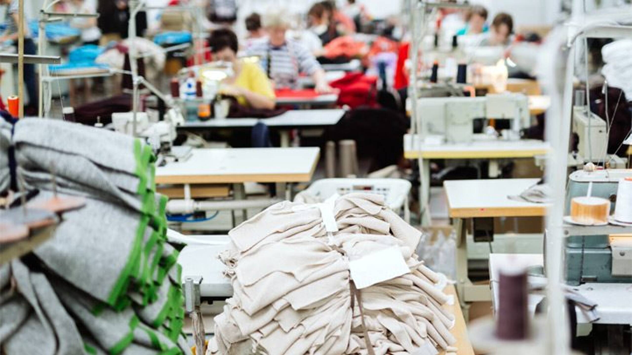 Fashion giants agree on forest-positive textile fiber collaboration