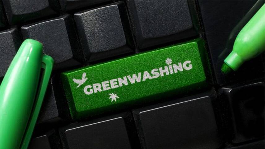 Is Inclusive Language a New Greenwashing?