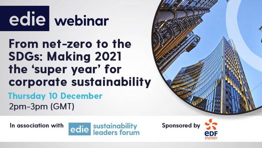 Available to watch on demand: Webinar on making 2021 the ‘super year’ for corporate sustainability