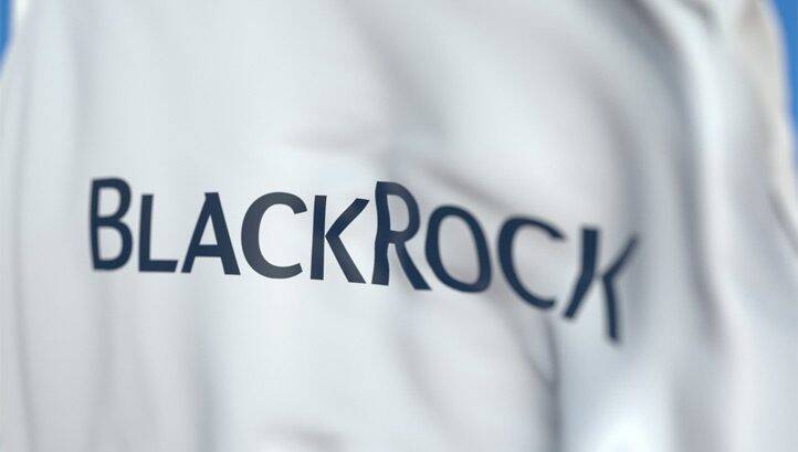 BlackRock debuts software that assesses climate risk for investors