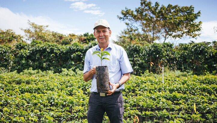 Starbucks outlines next steps on renewable energy and regenerative agriculture