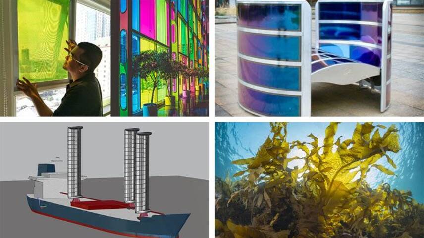 Seaweed animal feed and solar panels made from waste fruit: The best green innovations of January 2021