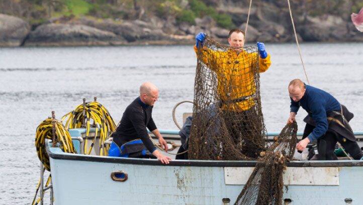 Iceland Foods pledges to tackle abandoned plastic fishing gear