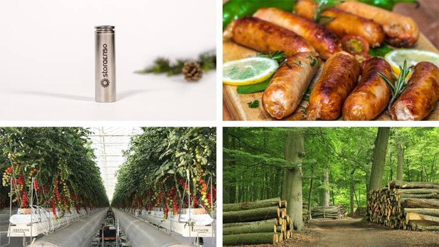 Batteries made from trees and blockchain to tackle deforestation: The best green innovations of July 2021