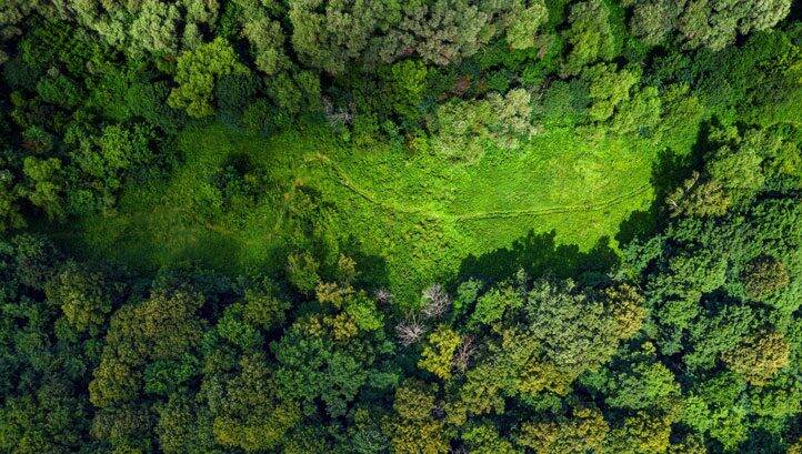 How the Brazilian Government is using satellite imagery to track deforestation in the Amazon