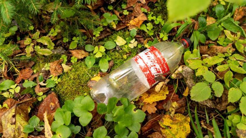 Report: Just 12 businesses account for more than half of UK’s packaging litter