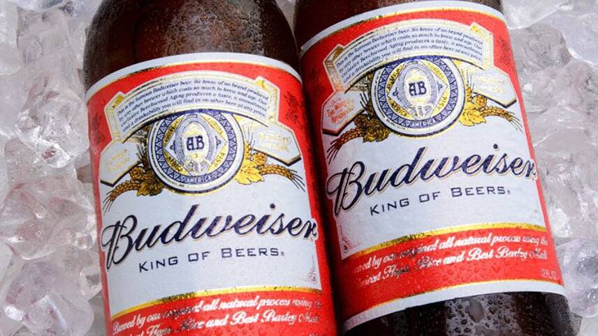 Anheuser-Busch to install US’s largest solar project for a brewery