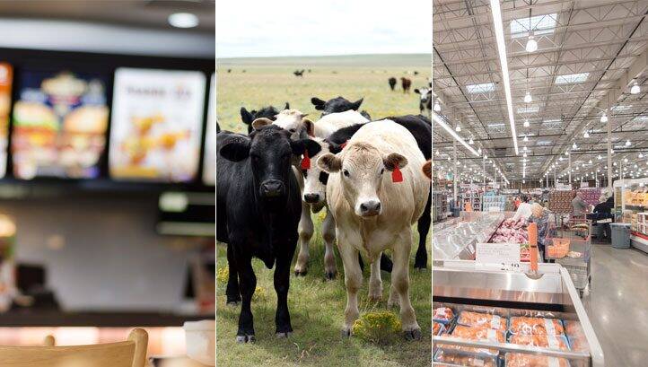 US food giants including Costco and JBS accused of failing to tackle Scope 3 emissions