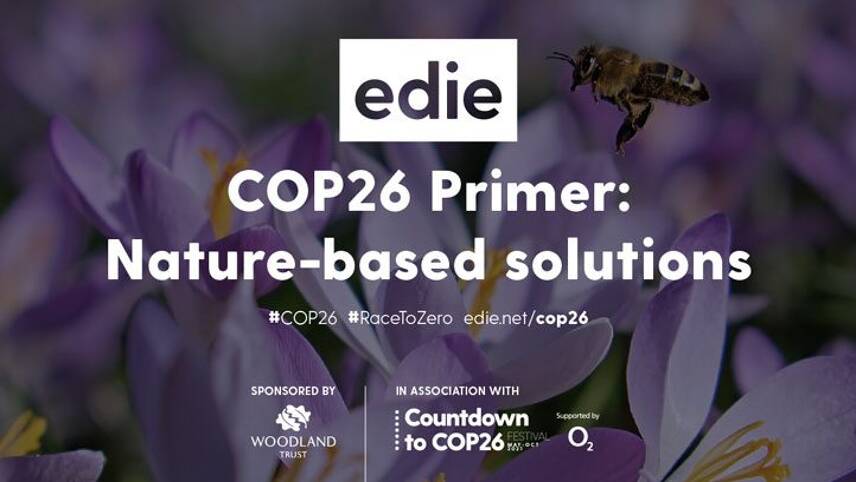 edie’s latest COP26 Primer report focuses on nature-based solutions