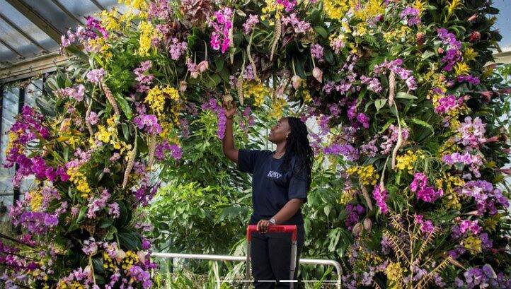 Kew Gardens promises increased focus on nature-based climate solutions and biodiversity restoration