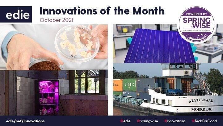 Algae-based plastics and energy from tomatoes: The best green innovations of October 2021