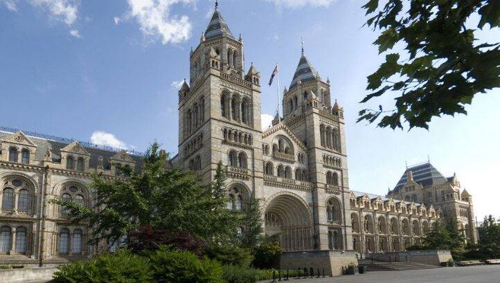 London’s Natural History Museum to cut emissions by 60% within a decade