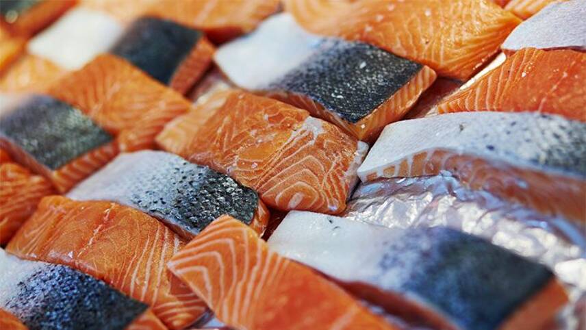 Report: Supermarket giants ‘turning a blind eye’ to environmental damage in fish supply chains