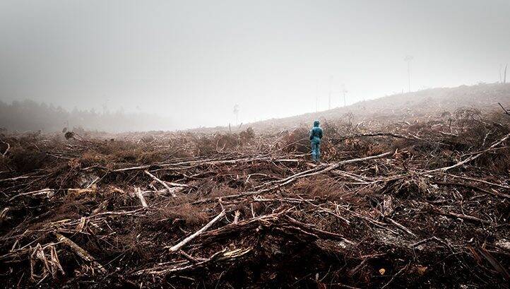 $1.8trn in subsidies funding the ‘destruction’ of nature, report warns