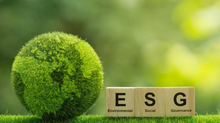 More regulatory guidance would spur corporate ESG efforts, survey reveals