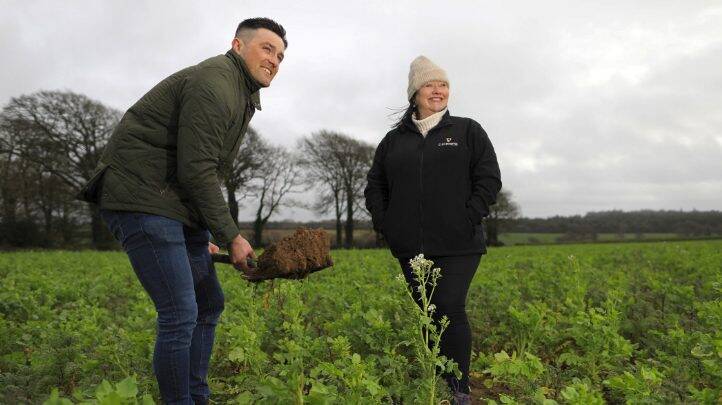 Greener Guinness: Diageo launches major regenerative agriculture scheme in Ireland